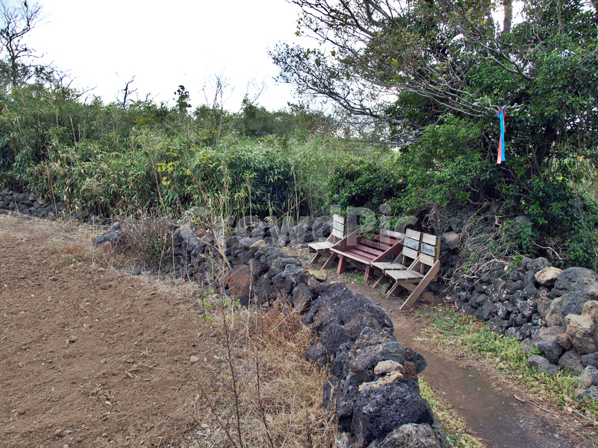 쉼터,리본,낙천잣길,돌담,올레13코스,올레길,제주,자연,풍경,nature,landscape,제주도,jeju,jeju island,dirt road,흙길,road,도로,gravel,자갈,ground,바닥,bench,벤치,furniture,가구
