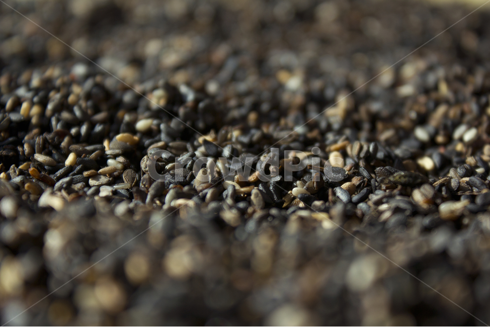 closeup,dry,dummy,food,grain,macro,meal,natural,nature,organic,plant,seed,seeds,sesame,sesameseed,sesameseeds,깨,참깨,곡식,곡류,음식,음식재료,식재료,식물,씨앗,씨,말린,말리는,건조,자연,깨소금,농작물,농촌,농사,검정,블랙,검은색,black,검은깨,클로즈업,블러,아웃포커스,포커스아웃,곡류,곡식,cereals