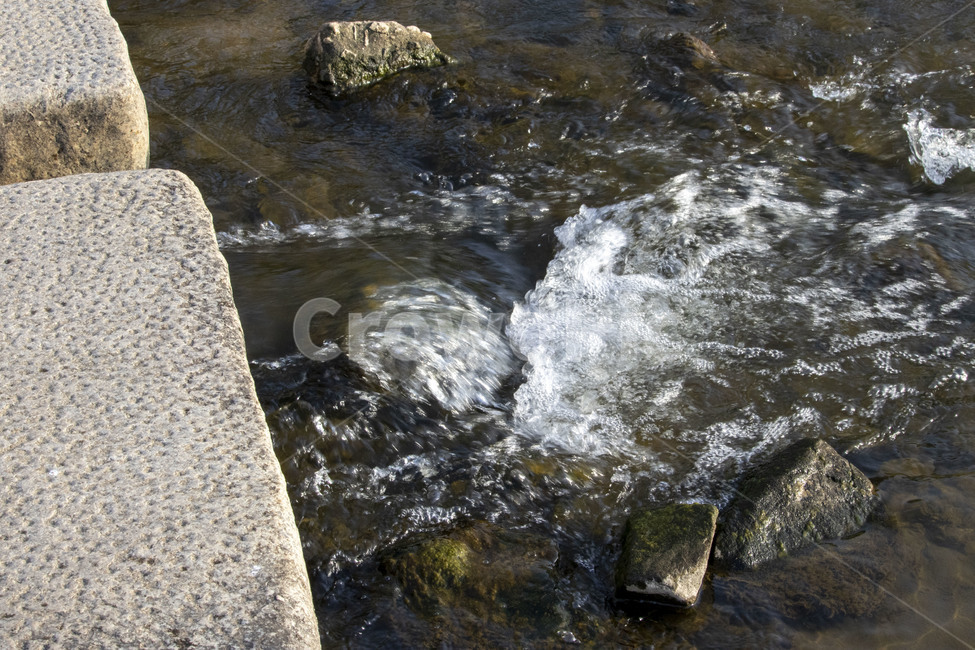 안양천,water,outdoors,자연,nature