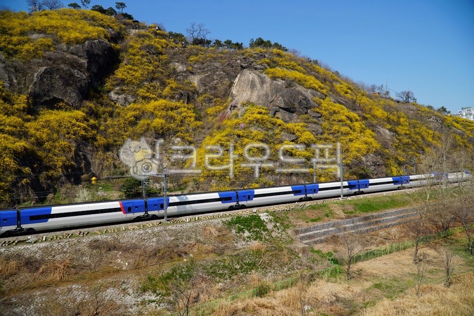 응봉산, 서울, 한국, korea, seoul, 사진,이미지,일러스트,캘리그라피 - 드래곤볼작가