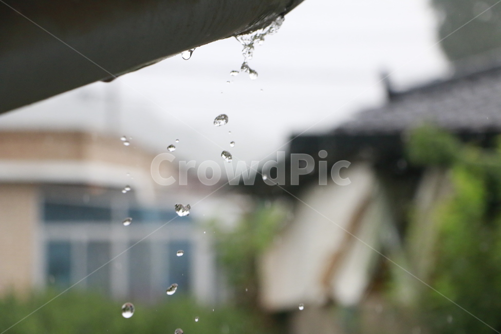 비,비방울,가을장마,촌집,가을,비,비오는날,rain,rainy