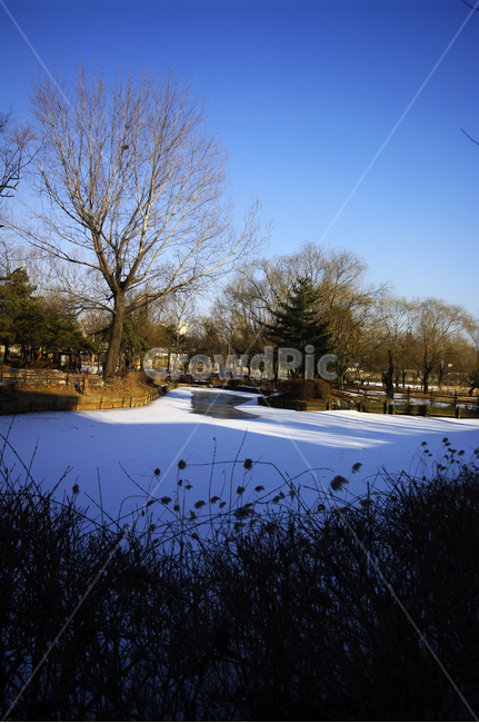 겨울,winter,풍경,설경,눈,나무,식물,plant,하늘,겨울,계절,winter,season,자연,풍경,nature,landscape,outdoors,옥외,water,물