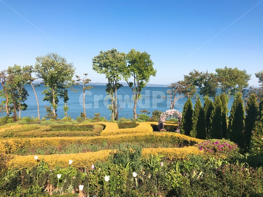 풍경,나무,자연,plant,식물,하늘,호수,강,자연,풍경,nature,landscape