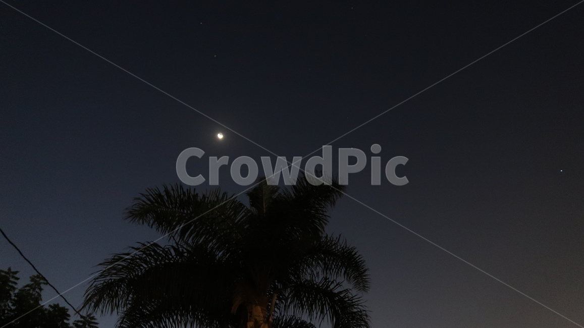 nature,자연,outdoors,moonlight,달빛,야경,밤,풍경,nightscape,night,landscape