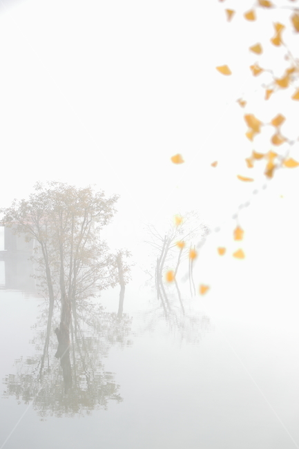 nature,자연,문광,저수지,은행,새벽