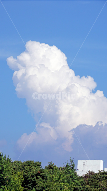sky,cloud,daytime,tree,green,silhouette,clean,sunshine,하늘,구름,나무,풍경,뭉게구름,자연,풍경,nature,landscape,outdoors,옥외,azure sky,푸른 하늘