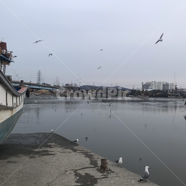 소래포구,선착장,바다,배,어선,갈매기,산업,industry,industrial,어업,fishery,fishing industry