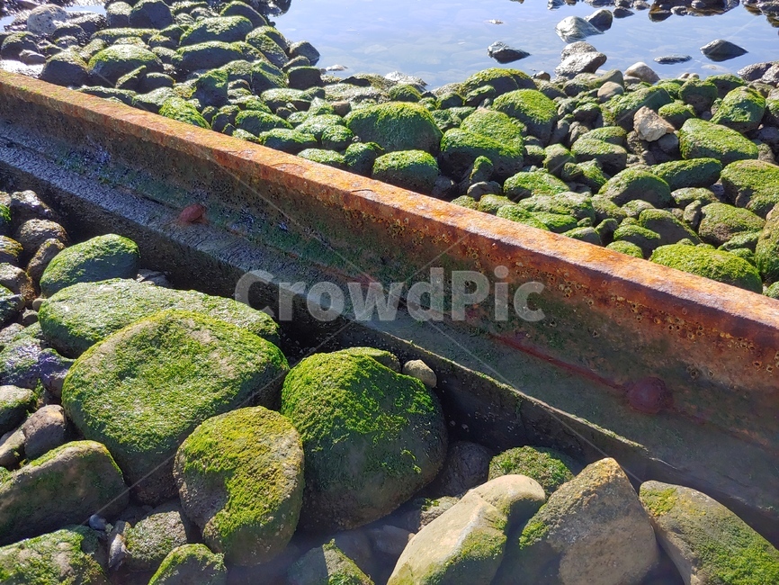바다,해안,돌,자갈,철로,레일,녹슨,자연,풍경,nature,landscape,plant,식물,algae,조류