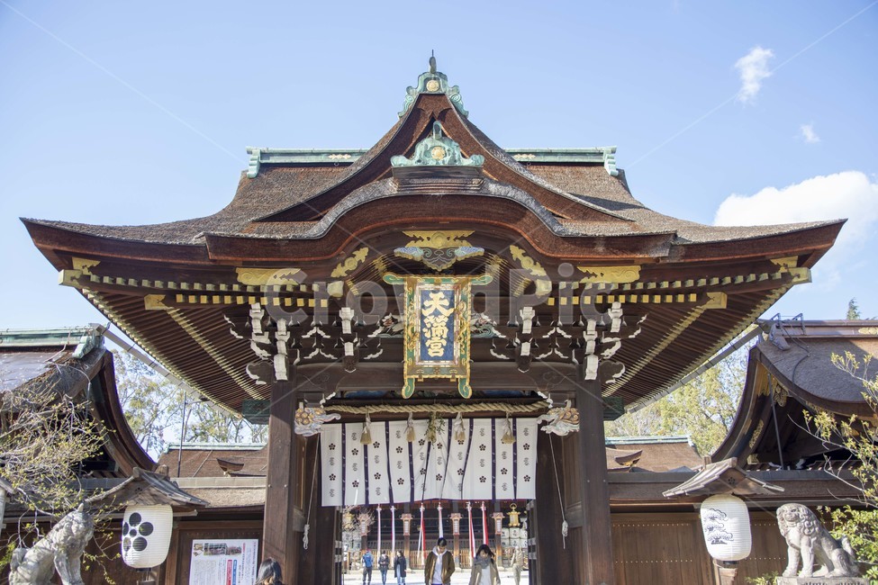 building,건물,architecture,건축물,temple