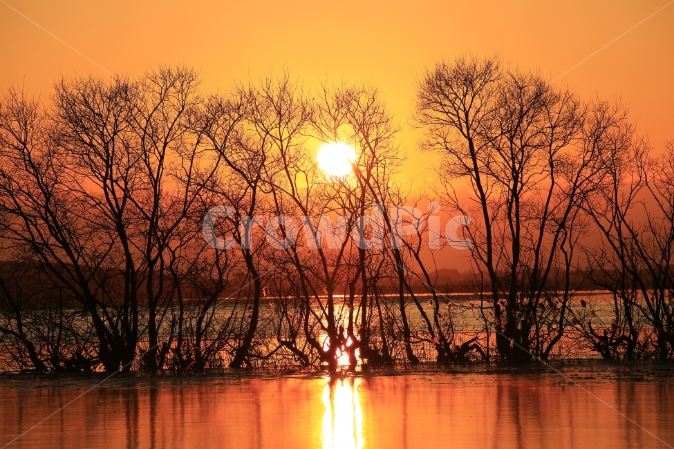 노을,일몰,탑정호,호수,논산,반영,해,sunset,풍경,landscape,자연,풍경,nature,landscape,outdoors,옥외