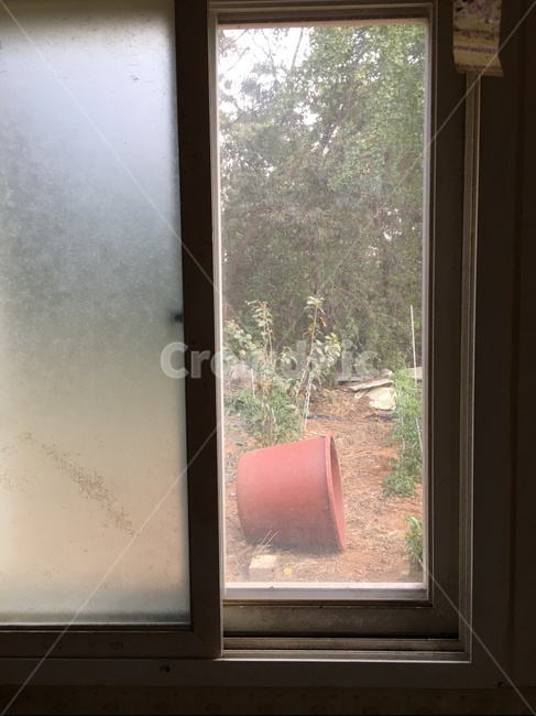 homedecor,가정장식,window,창문,통,물통,텃밭,실내,옥내