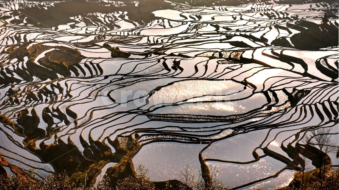 중국,운남,원양제전,다랭이논,water,outdoors,옥외,자연,경치,풍경,자연,풍경,nature,landscape