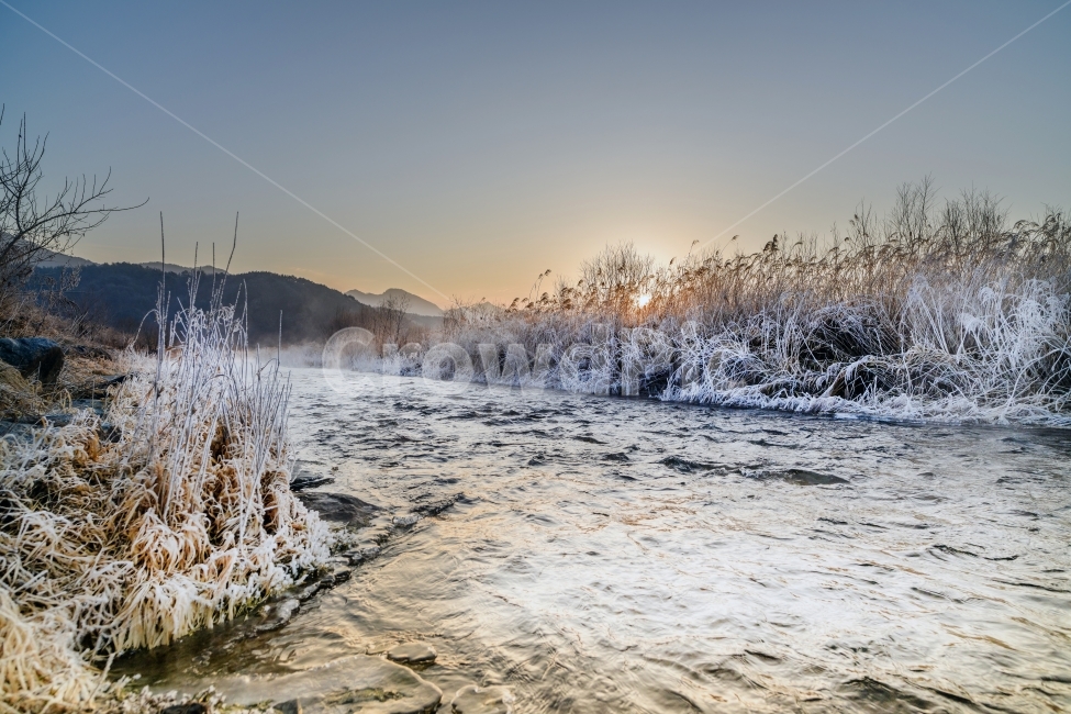 Reed,sight,winter,Sunrise,winter landscape,commercial high school