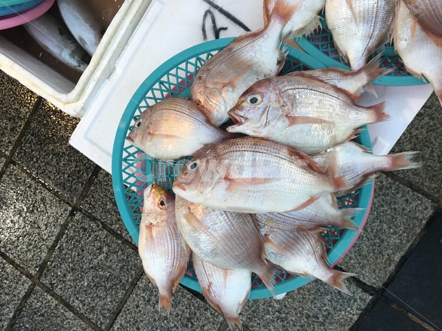 생선,물고기,열기,시장,바다,수산시장,시장,마트,마켓,market,mart,market place,음식,식재료,요리,food,cook,meal,dishes,food reserves,수산물,해산물,fishery products,seafood