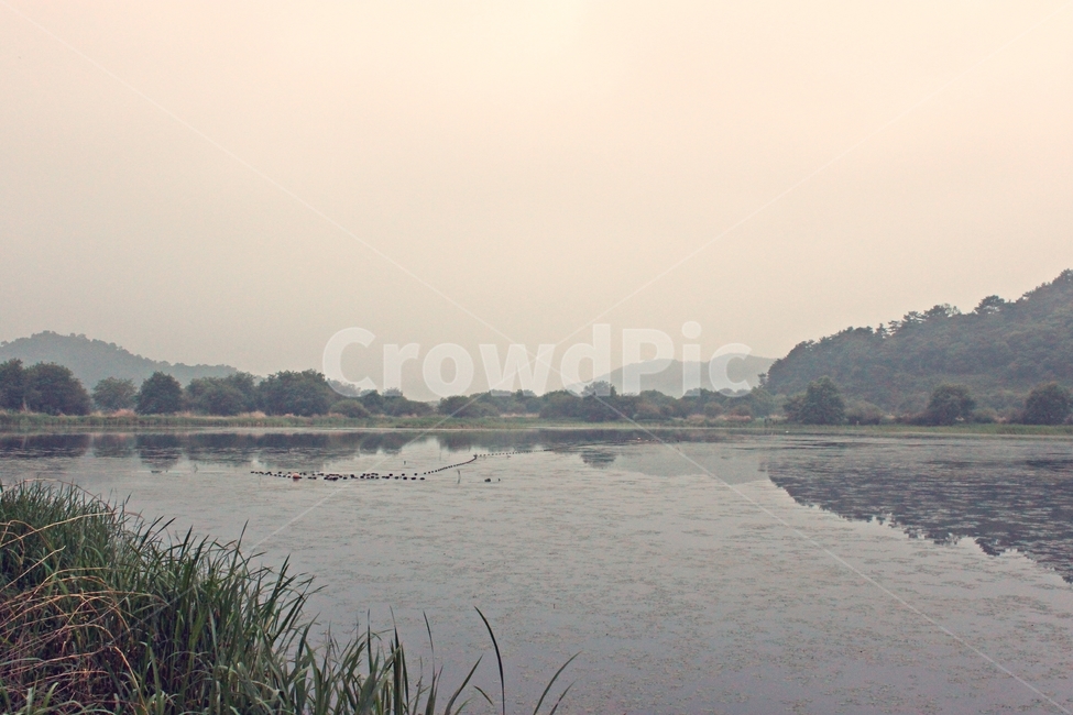 우포늪,늪,자연,새벽,우포,풍경,자연,풍경,nature,landscape,grass,잔디,plant,식물,water,물,land,땅,outdoors,옥외