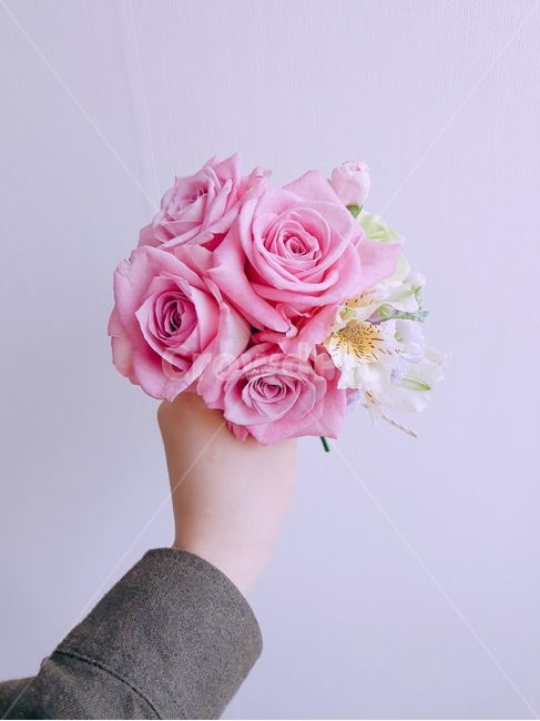 장미,핑크색,분홍꽃,꽃다발,프로포즈,꽃,flower,사람,인물,인간,human,person,신체일부,몸,body