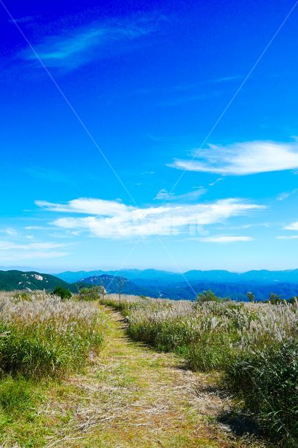 억새,하늘,공원,식물,구름,산,풍경,자연,길,오솔길,능선,황매산,자연,풍경,nature,landscape,outdoors,옥외