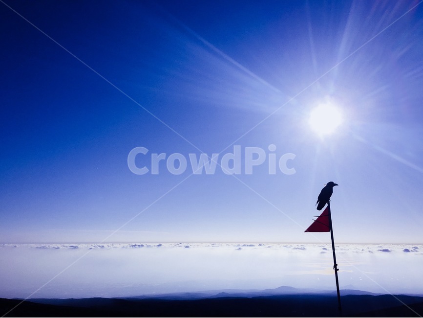산,새,까마귀,한라산,제주도,햇빛,구름,자연,자연,풍경,nature,landscape,조류,새,birds,flag,깃발,symbol,상징
