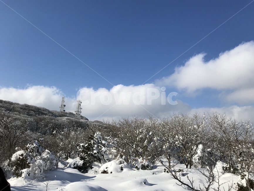 제주도,한라산,겨울,snow,맑은,겨울나무,jeju,1100도로,풍경,white,snowview