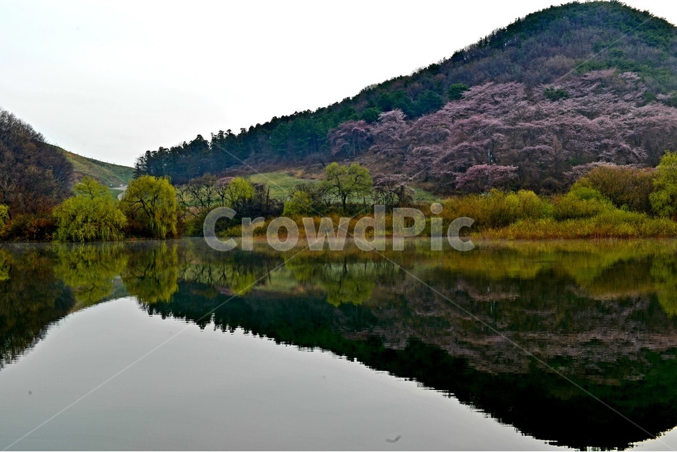 자연,미러,물,산,비침,자연경관,알록달록,푸름,단풍,무릉도원,봄,계절,spring,season,자연,풍경,nature,landscape,한국자연풍경,한국자연경관,korea nature landscape,water,outdoors,옥외,lake,호수
