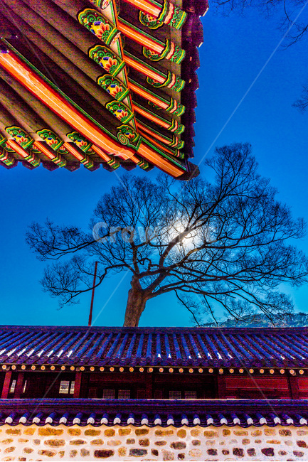 단청,처마,기와,고궁,문화유산,패턴,한국전통,한국문화,korean traditional,korean culture,건축물,건물외관,exterior,building,structure,architecture,construction