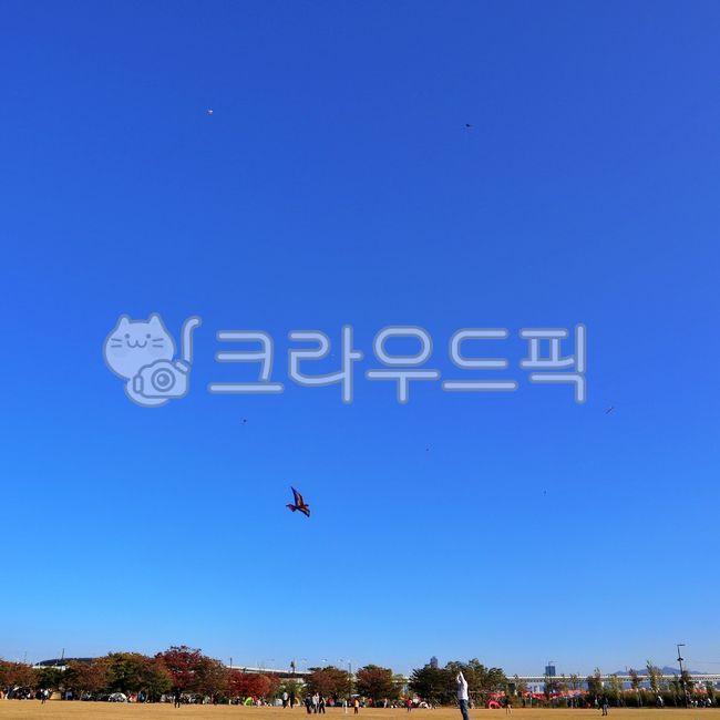 가을,한강,난지공원,하늘,공원,잔디,나들이,연,가오리연,날씨,fall,autumn,hangang,sky,air,grass,kite,weather