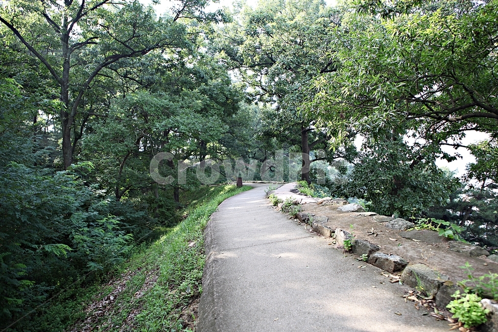 공주산성,성,산성,성곽,길,둘레길,숲,숲길,돌담,담,여름,풍경,흙담,벽,방어벽,나무,식물,유네스코등제