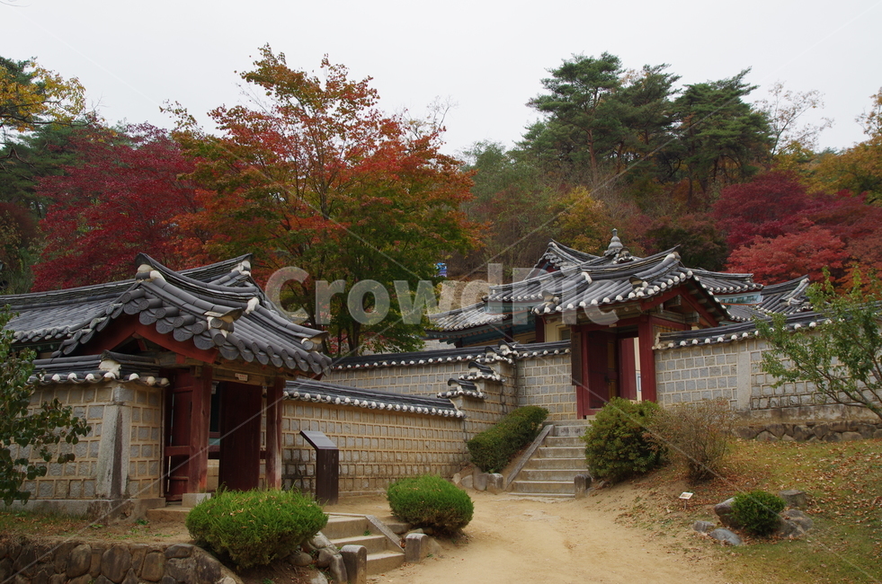 도산서원,안동,경북안동,안동단풍,단풍,퇴계이황,가을,계절,fall,autumn,season,한국전통,한국문화,korean traditional,korean culture,건축물,건물외관,exterior,building,structure,architecture,construction,pagoda,탑,temple,신전,worship,예배,건물,shrine,신사
