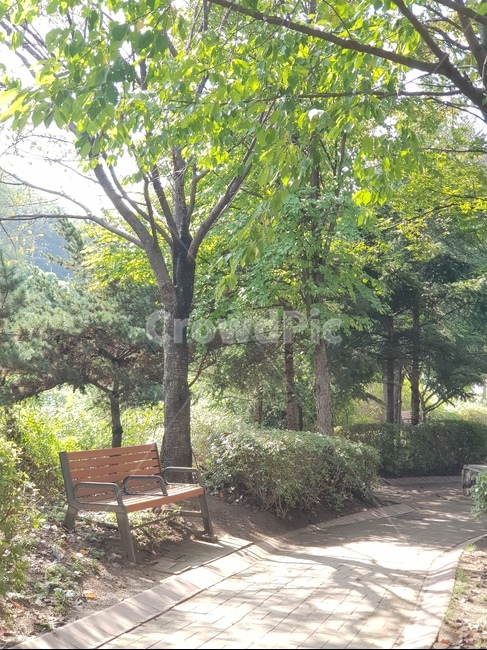 산책길,나무,벤치,산책,공원,자연,풍경,nature,landscape