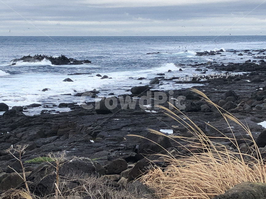 제주도바다,제주도해안가,제주도,서귀포,서귀포바다,자연,풍경,nature,landscape,제주도,jeju,jeju island,promontory,곶