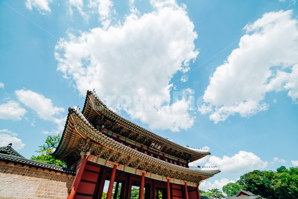 창덕궁,돈화문,한국문화,한국전통,건물,한국,맑다,시원하다,파란색,흰색,빨간색,검은색,녹색,건축물,건물외관,관광지,한국명소,랜드마크,나무,벽,한옥,korea,blue,sky,landmark,tourist,exterior,한국전통,한국문화,korean traditional,korean culture,랜드마크,landmark,tourist attraction,한국랜드마크,한국관광지,한국명소,korea landmark,korea tourist attraction,건축물,건물외관,exterior,building,structure,architecture,construction