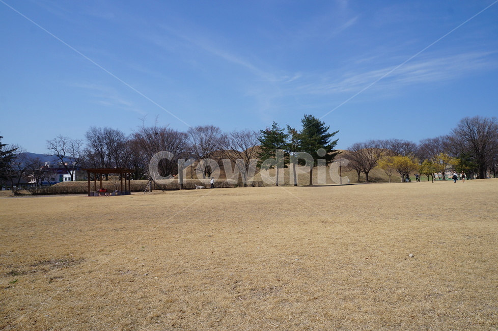 경주,왕릉,나무,무덤,왕,한국,자연,풍경,nature,landscape,ground,바닥,road,도로,dirt road,흙길,gravel,자갈,outdoors,옥외