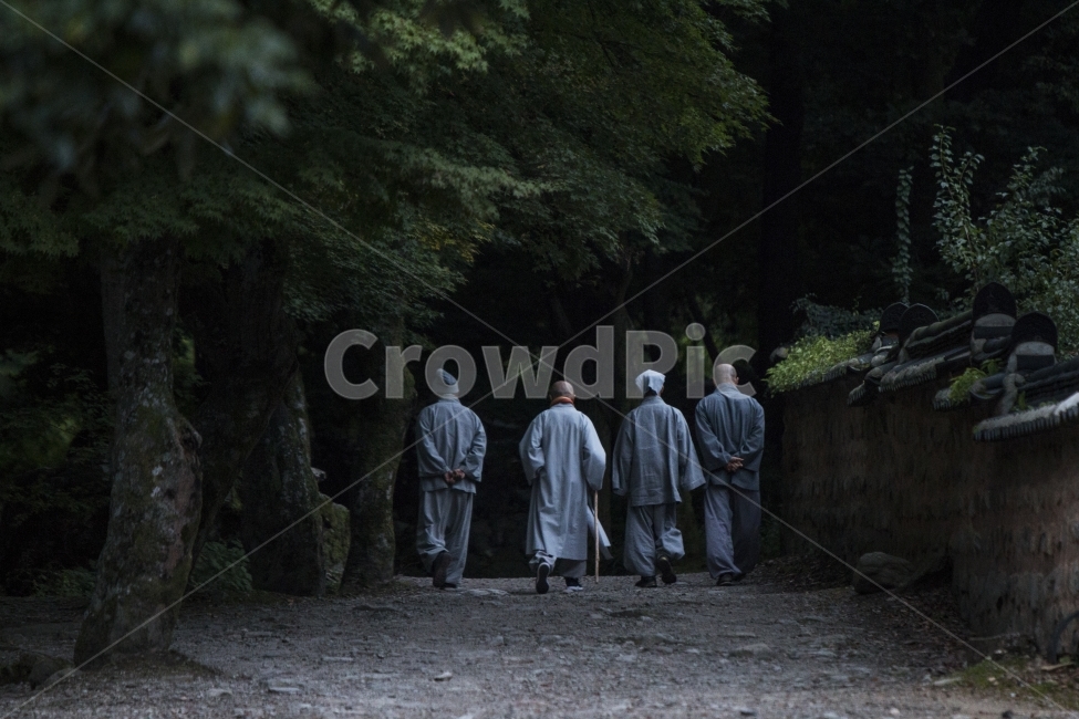 선운사,절,새벽,스님,고창,한국전통,한국문화,korean traditional,korean culture,사람들,대중,군중,other people,crowd,종교,신앙,religion,belief,faith