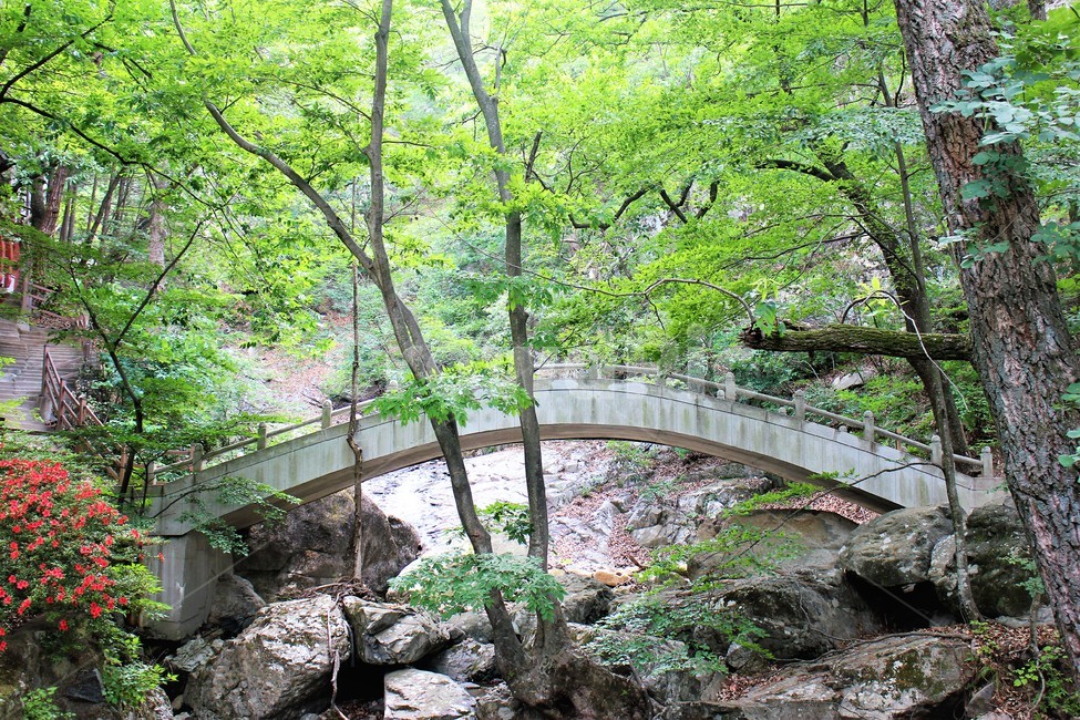 bridge,계곡,자연,나무,아웃도어,산행,nature,tree,outdoor,mountain,자연,풍경,nature,landscape,plant,식물