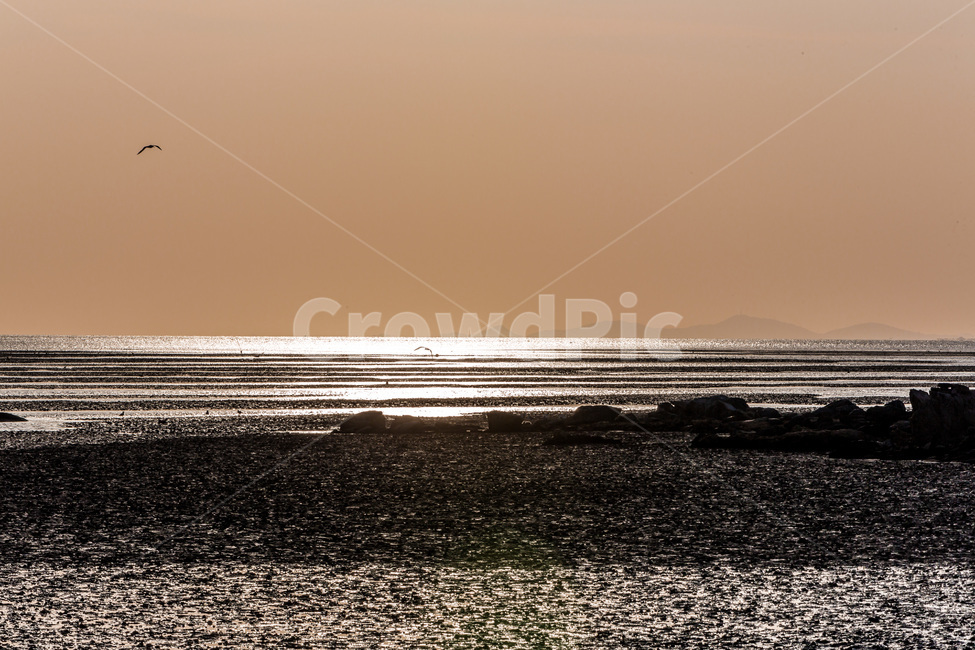 영종도,자연,풍경,갯벌,낙조,석양,문양,수평선,질감,감성,자연,풍경,nature,landscape,한국자연풍경,한국자연경관,korea nature landscape