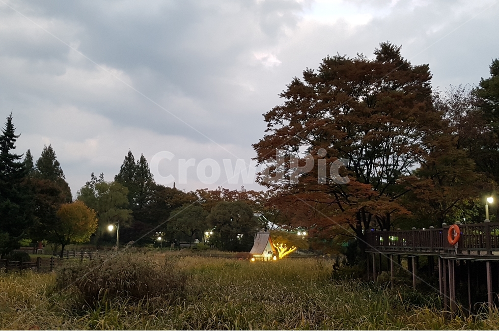 촛불,어린이대공원,노을,나무,구름,자연,풍경,nature,landscape,식물,plants,나무,trees,wood