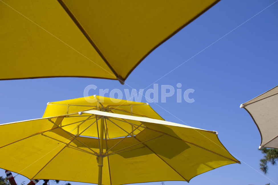 야외,휴가,놀이,outdoor,canopy,천개,umbrella,우산