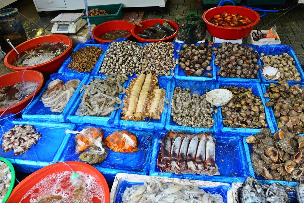 lobster,market,시장,sealife,해양생물,seafood,해물,food,animal,동물,헤산물,수산물,식재료,음식,수산시장,오징어,게,한치,멍게,시장,마트,마켓,market,mart,market place