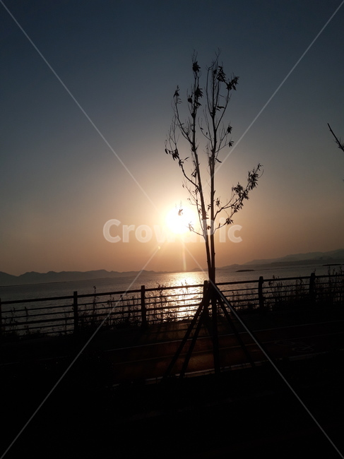 일몰,썬셋,sunset,해넘이,해,나무