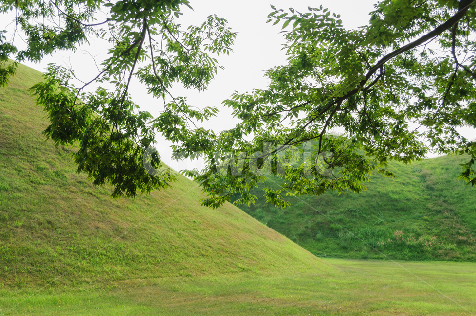 경주,왕릉,무덤,유적,신라,여름,나무,초록,유물,역사,한국,전통,자연,풍경,nature,landscape,grassland,목초지,field,들,outdoors,옥외,mound,투수판
