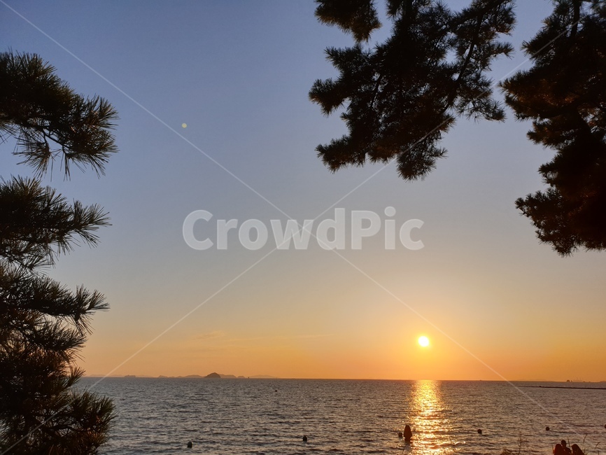 노을,바닷가,감성,풍경,붉은색,나무,nature,자연,outdoors,옥외,자연,풍경,nature,landscape