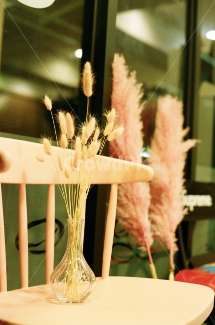 필름사진,감성사진,드라이플라워,인테리어소품,카페인테리어,식물,자연,plants,nature,감성,sensible,feeling,인테리어,실내디자인,interior design