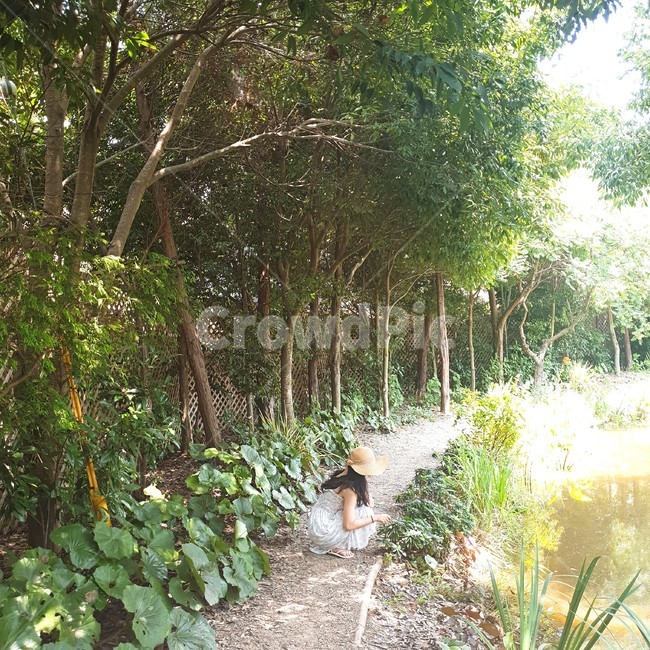 사람,풍경,자연,숲속,여자,소녀,식물,자연,풍경,nature,landscape,plant