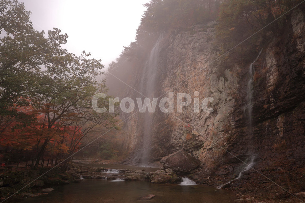 nature,river,자연,강,outdoors,폭포,waterfall,물,water,옥외,강천산,mountain,단풍,가을,fall,아침,안개,morning,바위,나무,tree,자연,풍경,nature,landscape