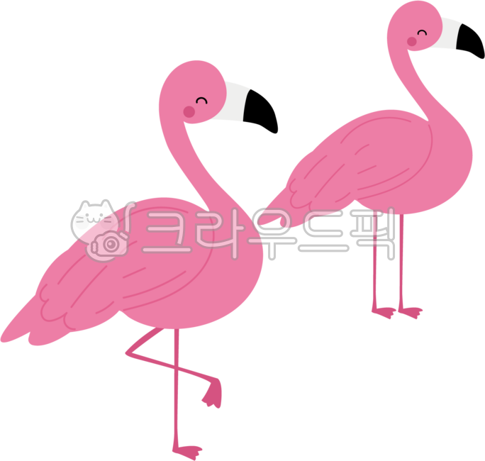 동물,홍학,플라밍고,핑크색동물,새,조류