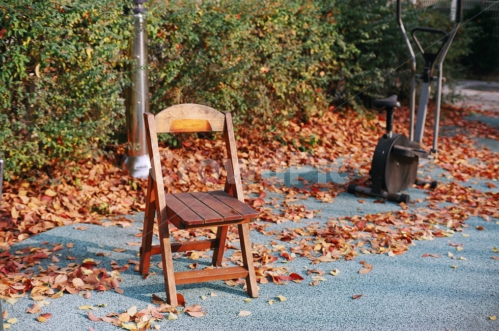 의자,낙엽,떨어진낙엽,계절,fall,가을,가을,계절,fall,autumn,season,chair,furniture,가구