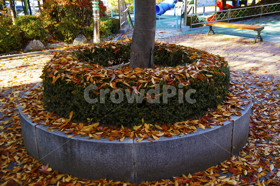 가을,낙엽,단풍,감성,고독,감성사진,놀이터,한적한날,sensitive,feeling,fall,배경,가을,계절,fall,autumn,season