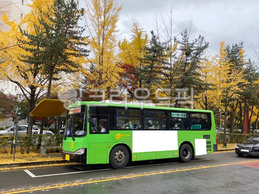 버스,버스광고,목업,목업이미지,광고,광고판,차량광고,시내버스광고,부착광고,옥외광고,판넬,비즈니스,상업광고판,도시배경,사인보드,상업광고,커머셜,비어있는,프레임,광고디자인,빈공간,배경,바탕,백그라운드,사각형광고판,차량,교통수단,bus,busadvertisement,mockup,mockupimage,billboard,vehicleadvertisement,citybusadvertisement,advertisement,outdooradvertisement,panel,business,commercialbillboard,citybackground,signboard,commercialadvertisement,commercial,free,frame,advertisingdesign,emptyspace,background