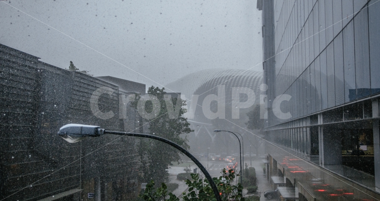 여름,비,스콜,싱가포르,감성,소나기,풍경,비,비오는날,rain,rainy,도시,풍경,city,landscape,해외,외국,세계,foreign,oversea,world,nature,자연,outdoors,옥외,weather,날씨,urban,어반,town,building,건물,시티,metropolis,중심지