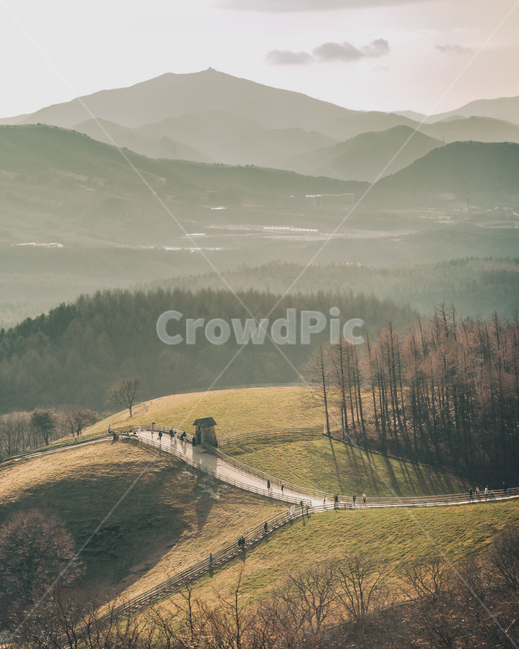 countryside,hill,대관령,삼양목장,풍경,강원도,흐린날,nature,자연,outdoors,감성,빛,자연,풍경,nature,landscape,한국자연풍경,한국자연경관,korea nature landscape